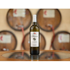 Altariva Chardonnay - Terre Siciliane